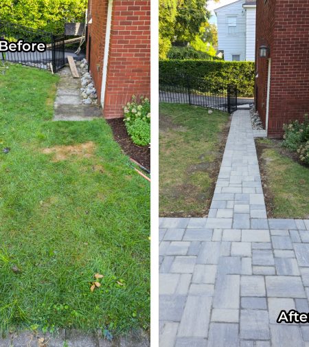 WhatsApp Image 2026-01-20 at 9.02.52 PM